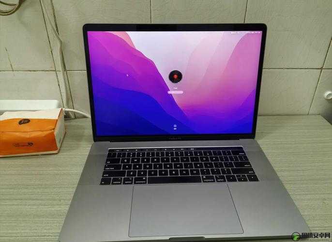 18 岁 macbookpro 高清选择：为何它成为众多人的心头好